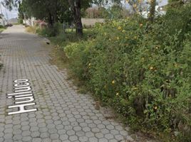  Terreno (Parcela) en venta en Atlixco, Puebla, Atlixco
