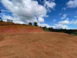  Land for sale in Guarne, Antioquia, Guarne