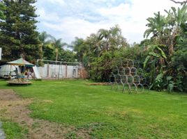 4 Schlafzimmer Haus zu verkaufen in Guadalajara, Jalisco, Guadalajara