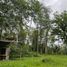  Land for sale in Santo Domingo De Los Colorados, Santo Domingo De Los Tsachilas, Santo Domingo De Los Colorados, Santo Domingo, Santo Domingo De Los Tsachilas
