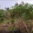  Terrain for sale in Madre De Dios, Inambari, Tambopata, Madre De Dios