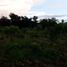  Terrain for sale in Madre De Dios, Inambari, Tambopata, Madre De Dios