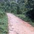  Terrain for sale in Madre De Dios, Inambari, Tambopata, Madre De Dios