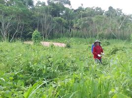  Terrain for sale in Tambopata, Madre De Dios, Inambari, Tambopata