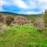  Terreno (Parcela) en venta en Melipilla, Santiago, Curacavi, Melipilla