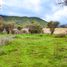  Terreno (Parcela) en venta en Melipilla, Santiago, Curacavi, Melipilla