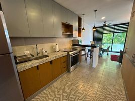 在Yucatan出租的1 卧室 住宅, Merida, Yucatan