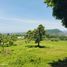  Land for sale in Totolapan, Morelos, Totolapan