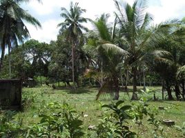  Grundstück zu verkaufen in San Vicente, Mimaropa, San Vicente, Palawan, Mimaropa