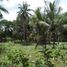  Land for sale in San Vicente, Mimaropa, San Vicente, Palawan, Mimaropa