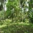  Land for sale in San Vicente, Mimaropa, San Vicente, Palawan, Mimaropa