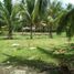  Land for sale in San Vicente, Mimaropa, San Vicente, Palawan, Mimaropa