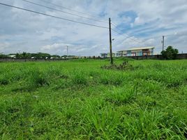  Terreno (Parcela) en venta en Porac, Central Luzon, Porac, Pampanga, Central Luzon