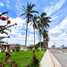  Terreno (Parcela) en venta en Castilla, Piura, Castilla, Piura, Piura