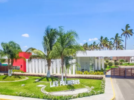  Terreno (Parcela) en venta en Castilla, Piura, Castilla, Piura, Piura