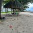  Terreno (Parcela) en venta en Argao, Central Visayas, Argao