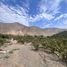  Land for sale in Calango, Lima, Calango