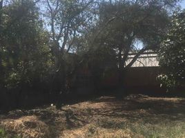  Grundstück zu verkaufen in Miacatlan, Morelos, Miacatlan
