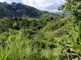 Terrain à vendre à Antipolo City, Calabarzon, Antipolo City, Rizal