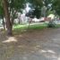  Terreno (Parcela) en venta en Piura, Piura, Piura, Piura, Piura