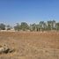  Land for sale in Atotonilco El Grande, Hidalgo, Atotonilco El Grande