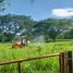 3 Bedroom Villa for sale in San Martin Cesar, San Martin, Cesar
