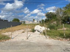  Land for sale in Matamoros, Tamaulipas, Matamoros
