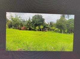  Land for sale in Tanauan City, Batangas, Tanauan City