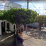 2 Schlafzimmer Villa zu verkaufen in Merida, Yucatan, Merida