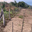  Grundstück zu verkaufen in Compostela, Nayarit, Compostela