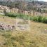  Land for sale in Tarqui, Cuenca, Tarqui