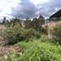 在Loja出售的 土地, Loja, Loja, Loja
