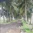  Land for sale in Enrique B. Magalona, Negros Occidental, Enrique B. Magalona