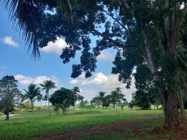  Land for sale in Silang, Cavite, Silang