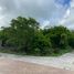 Terrain à vendre à Conkal, Yucatan, Conkal, Yucatan