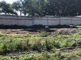  Grundstück zu verkaufen in Almoloya De Juarez, Mexico, Almoloya De Juarez