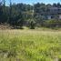  Land for sale in Lagos De Moreno, Jalisco, Lagos De Moreno