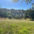 Land for sale in Lagos De Moreno, Jalisco, Lagos De Moreno