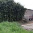  Terreno (Parcela) en venta en Tlahuac, Ciudad de México, Tlahuac