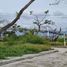  Grundstück zu verkaufen in Lapu-Lapu City, Central Visayas, Lapu-Lapu City, Cebu, Central Visayas, Philippinen