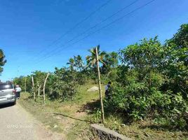  Land for sale in San Francisco, Cebu, San Francisco