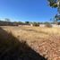  Land for sale in Tepic, Nayarit, Tepic