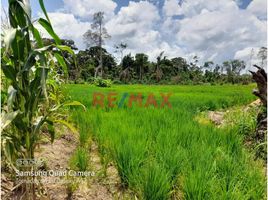  Terreno (Parcela) en venta en Huánuco, Honoria, Puerto Inca, Huánuco