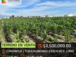  Grundstück zu verkaufen in Santa Isabel Cholula, Puebla, Santa Isabel Cholula