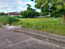  Land for sale in Gaisano Mall Mactan Island, Lapu-Lapu City, Lapu-Lapu City