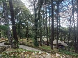  토지을(를) Amealco De Bonfin, Queretaro에서 판매합니다., Amealco De Bonfin