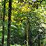  Land for sale in Iquitos, Loreto, Iquitos, Maynas