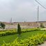  Grundstück zu verkaufen in Carabayllo, Lima, Carabayllo, Lima, Lima, Peru