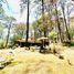 4 Bedroom House for sale in Tapalpa, Jalisco, Tapalpa