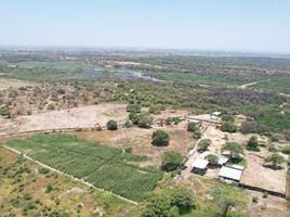  Terreno (Parcela) en venta en Piura, Piura, Piura, Piura, Piura